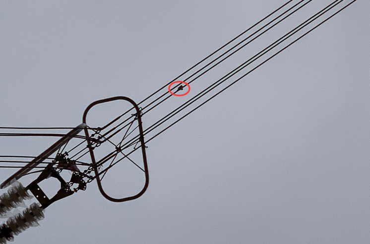 初心如磐，特力康高壓輸電線路導(dǎo)線溫度在線監(jiān)測系統(tǒng)